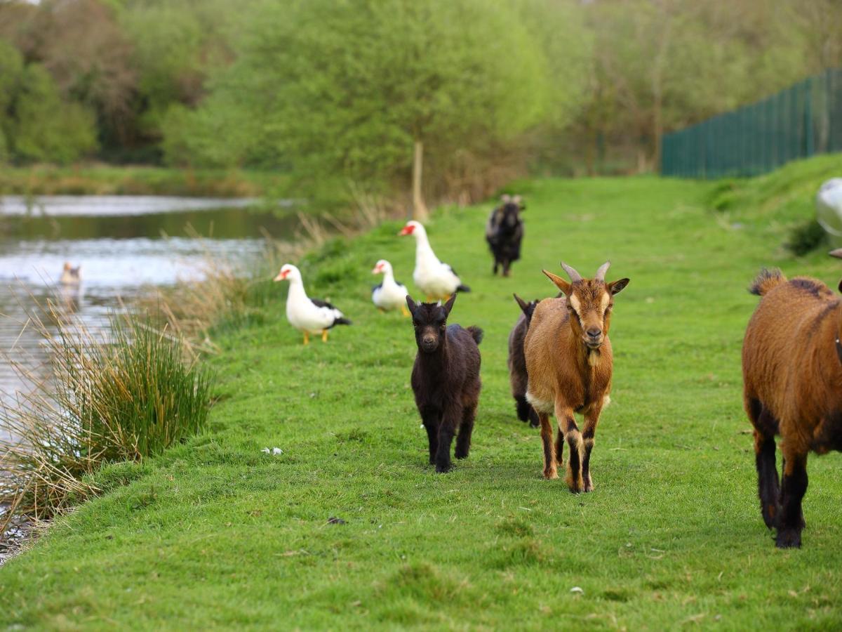 Gîtes de La Ferme de Vur Ven Gouvieux Exterior foto